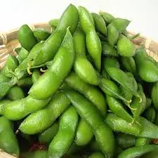 
IQF Frozen Green Edamame Vegetables 