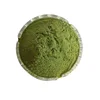Indigo henna Powder dye wholesale price ---- Whatsapp : +91 9176416331