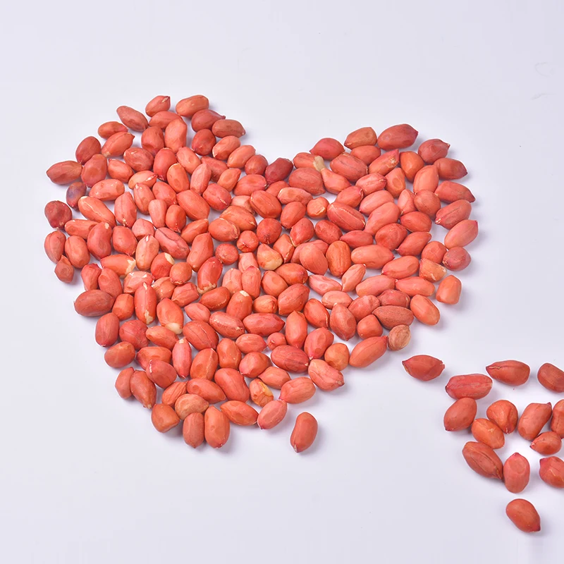 
Organic Peanut Kernels Seeds Good Price for Sell 