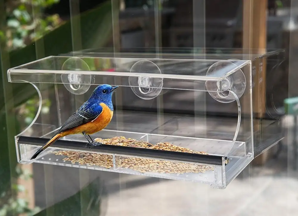 
Wholesale large Window Bird Feeder House ,Acrylic Window Bird Feeder with Strong Suction Cups with removable tray drain holes 