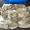 Beef / Cow Salted Dried A Grade Top Quality Frozen Beef Omasum