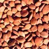almond kernel/nuts/peanut/peanuts groundnut/walnut/cashew