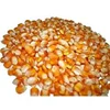 Top Quality Yellow Corn for Sale, Yellow Maize for Human Consumption