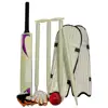 High grade Pakistani cricket bat English Willow Cricket Bats Pakistan cricket bat kit