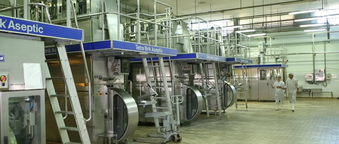 
OATS AND LOTUS SEEDS DRINK for restful sleep of whole family 