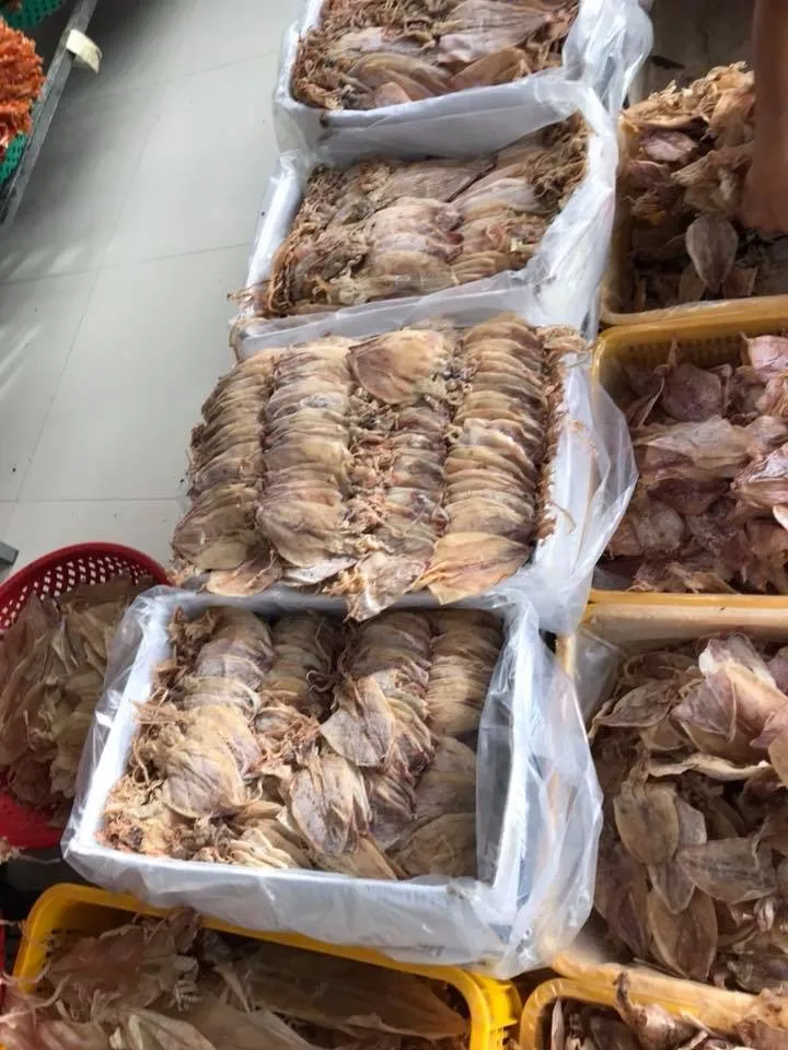 Hot Sale Dried Squid For Soup/ Dried Cuttle Fish Buy Dried Squid For