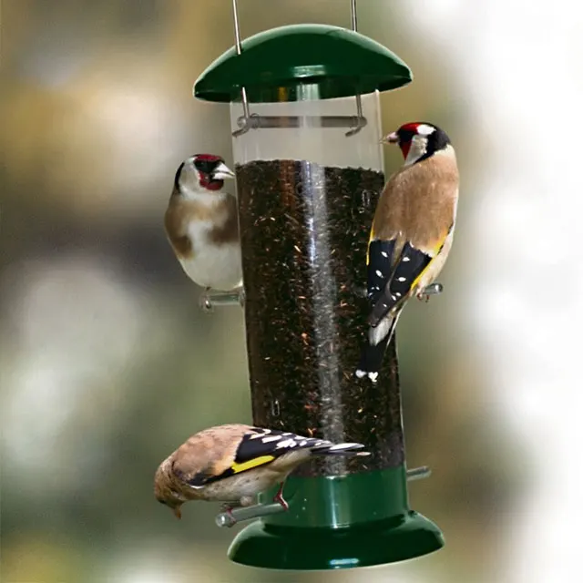 Niger Seeds For Bird Food Buy Bulk Bird Seed Product On Alibaba