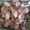 DRIED CRAB SHELLS SALE / CRAB SHELL WITH GOOD PRICE and HIGH QUALITY