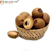 Best Quality Sapota For Export