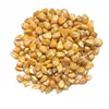 High Quality Yellow Corn For Animal Feed