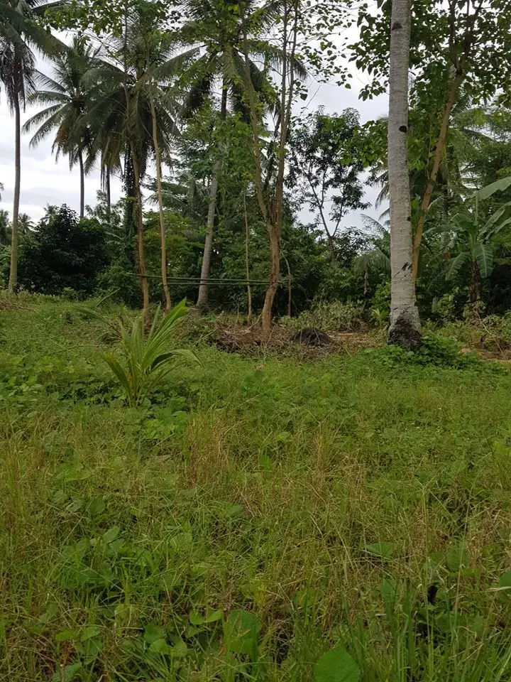 
Agricultural Residential Lot in Gloria Oriental Mindoro Philippines 