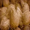 Semi Husked Fresh Coconut