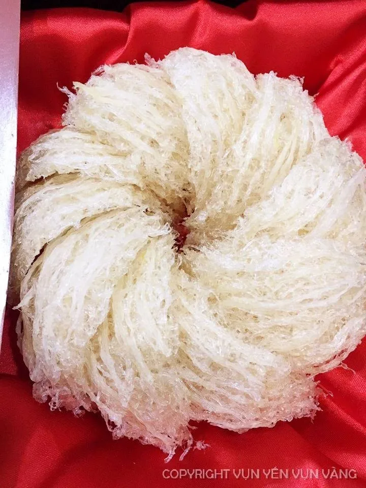 Vietnam Raw/ Refined Bird Nest 100 Pure,Broken Nest Good For Health