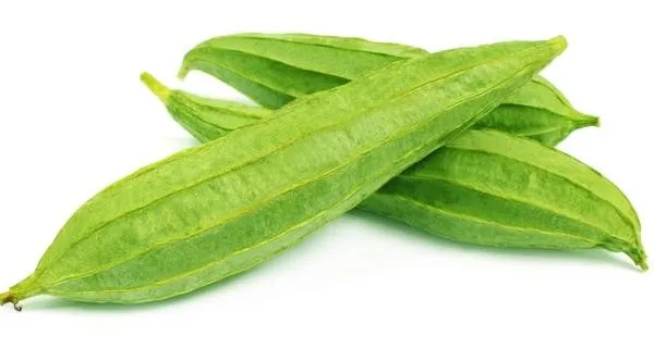 100% high quality fresh lima beans wholesale from bangladesh