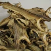 Grade A Dried StockFish / Frozen Stock Fish for Sale High quality Norway dried