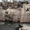 Top Quality Wet/dry salted donkey hides/ Cow Hides/ Goat ans Sheep Skins Hot Sale