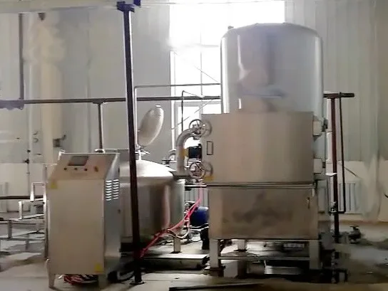 
Vacuum fryer for fruit and vegetables, Chips Vacuum fryer Machine with High Quality 