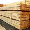 Guyana Tropical Hardwoods, Greenheart, Purpleheart, Wamara, Walaba, Mora and others