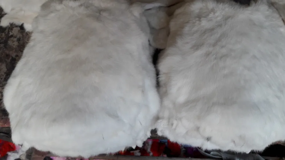 Rabbit Skin Natural Colors Rabbit Pelt Soft Skin For Garments