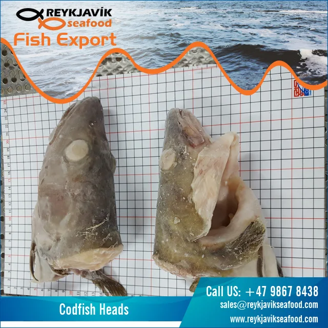 Codfish Heads.jpg