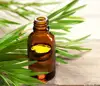 Bulk Supplier of Top Quality Tree Tea Essential Oil for Wholesale Purchase