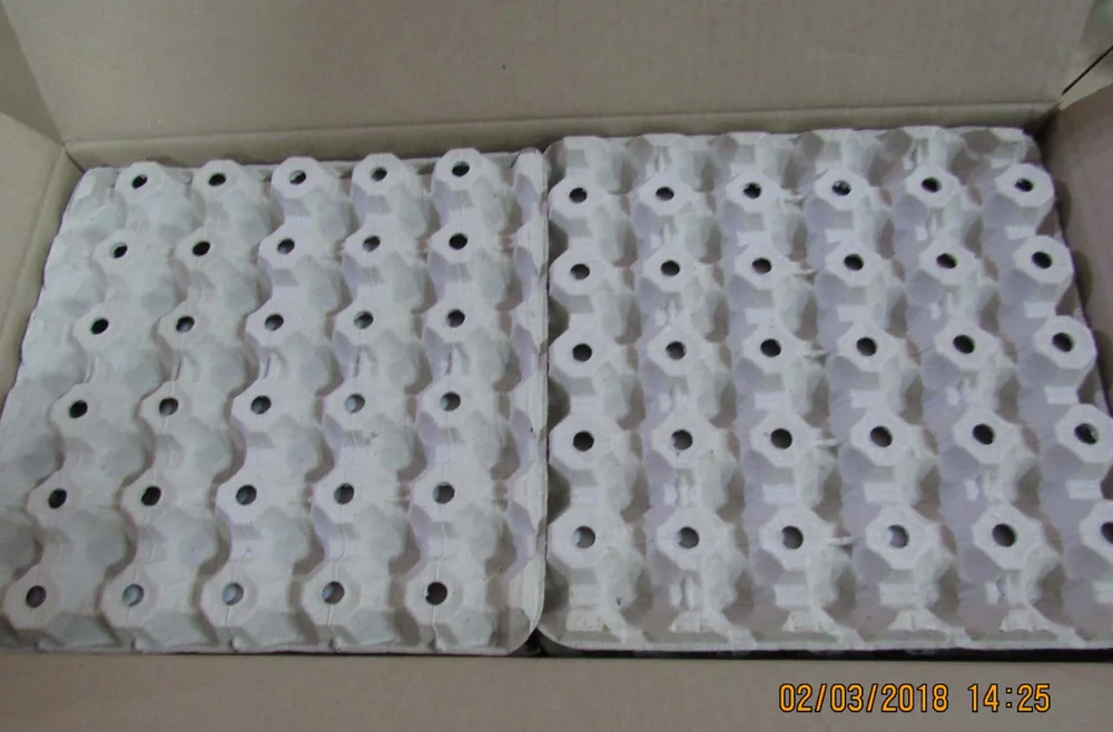 
Ukrainian/ Grade A Fresh Chicken Table Eggs/Brown/White/All sizes 