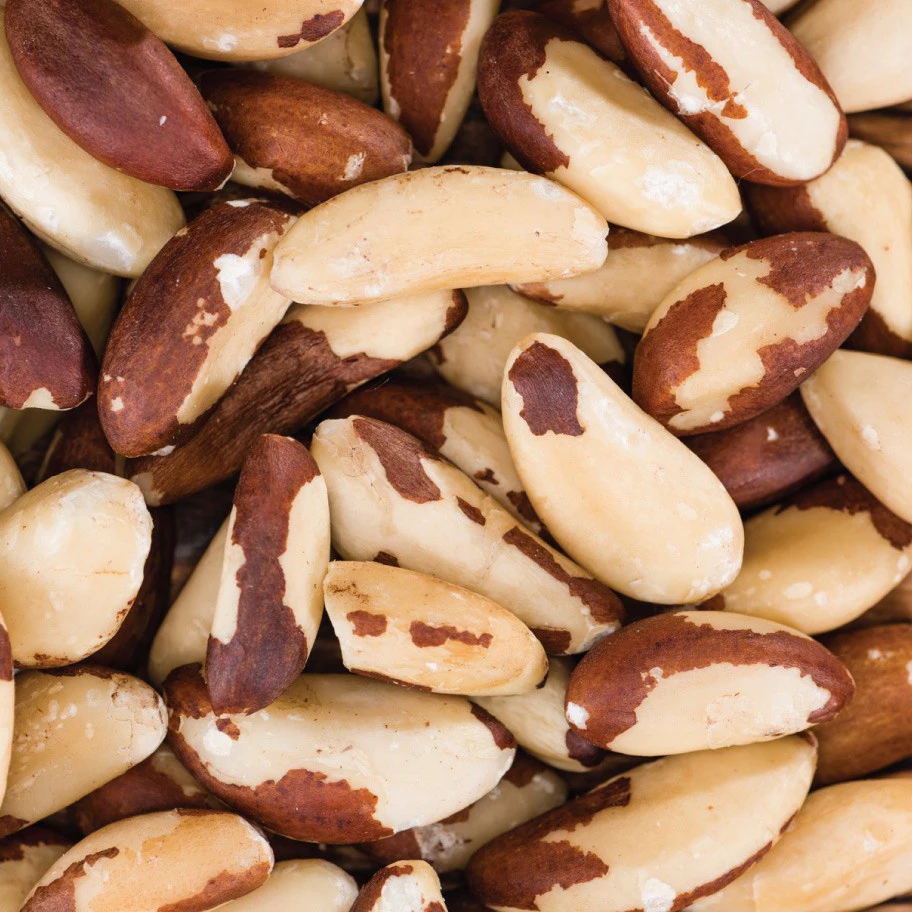 2019 raw brazil nuts / shelled brazil nuts / dried brazil nuts 1