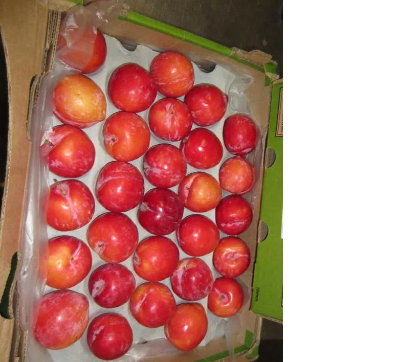 
Hot Selling High Quality Sweet Laetitia Black Red Plums For Wholesale 
