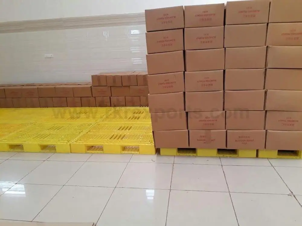 
Peanuts, Blanched Peanut at Whole Sale Price 