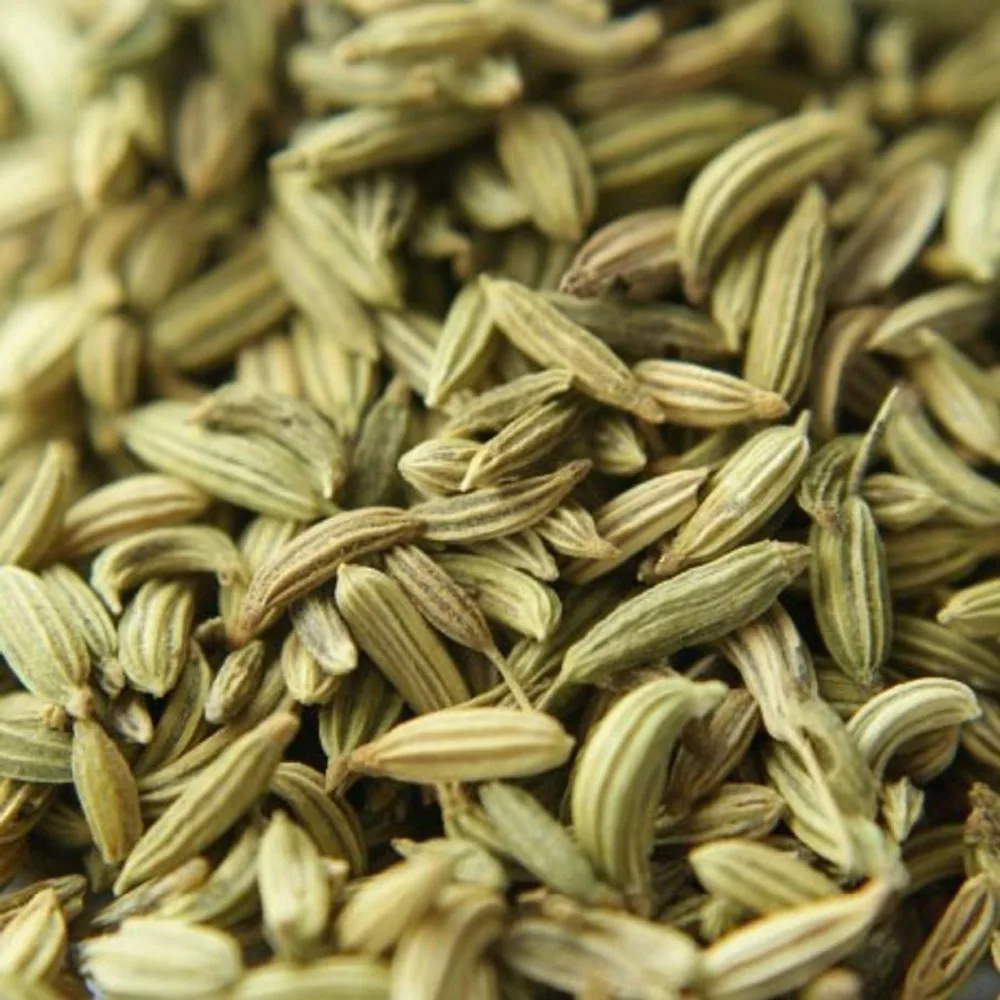 fennel-seeds