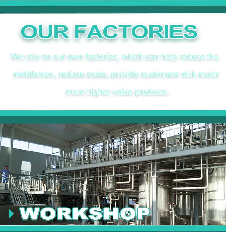 Our Factory