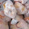Halal Whole Frozen Chicken and Chicken Parts
