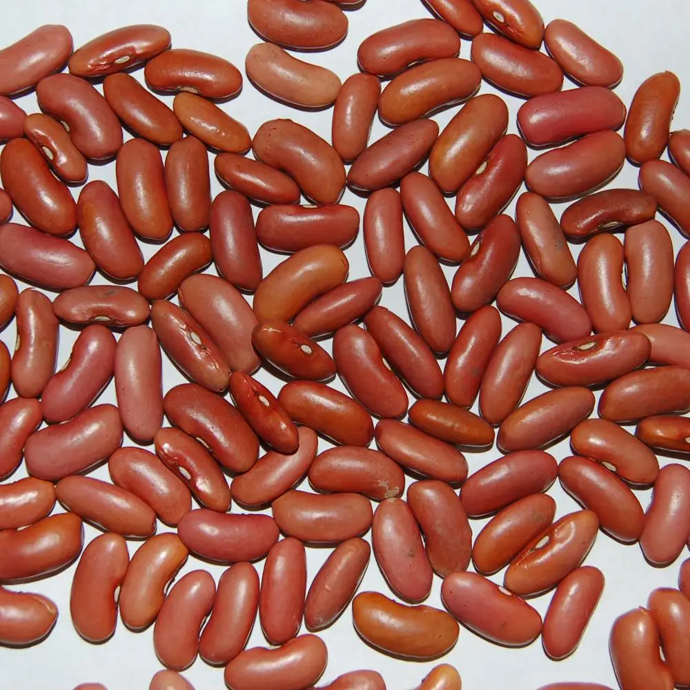 red kidney beans for sale