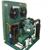 Durable 25HP Condensing Unit for Hot Sale