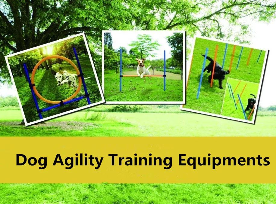 Outdoor Dog Obstacle Agility Training Exercise Equipment Kit Buy Dog