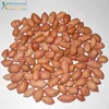 Wholesale Various High Quality Bold Peanuts Kernels 50/60
