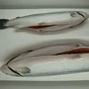 Frozen Salmon Exporter To China And Vietnam/ Fresh Salmon Fish