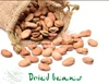/product-detail/high-quality-new-arrival-dried-broad-beans-62005393409.html