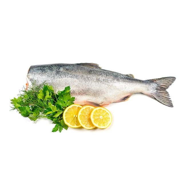 Белая рыба на б. Минтай, скумбрия, горбуша. Горбуша свежемороженный. Форель с/м б/г. Горбуша на белом фоне