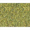 Yellow White Millet / Green millets / Yellow Broom Corn Millet
