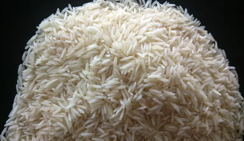 -1121-Steam-rice.jpg