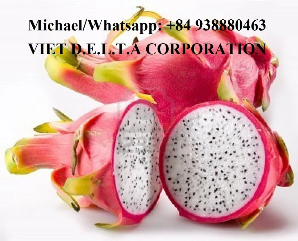 Selling Red Dragon Fruit