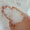 High Grade Virgin PP Granule, PP Homopolymer , PP colypolymer