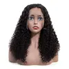 Black women 100% natural heat resistant synthetic straight brazilian full lace wig human hair wig