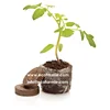 Eco friendly coconut coir peat pellets for planting horticulture seed starters