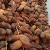 Arabic Dates From Egypt with Love