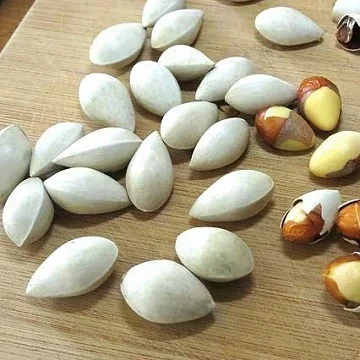 
Ginkgo Nuts ,Peeled Ginkgo Nuts,Raw Ginkgo Nuts  (50035071683)