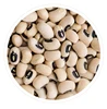 Chinese White Cowpea New Crop Black Eye Bean