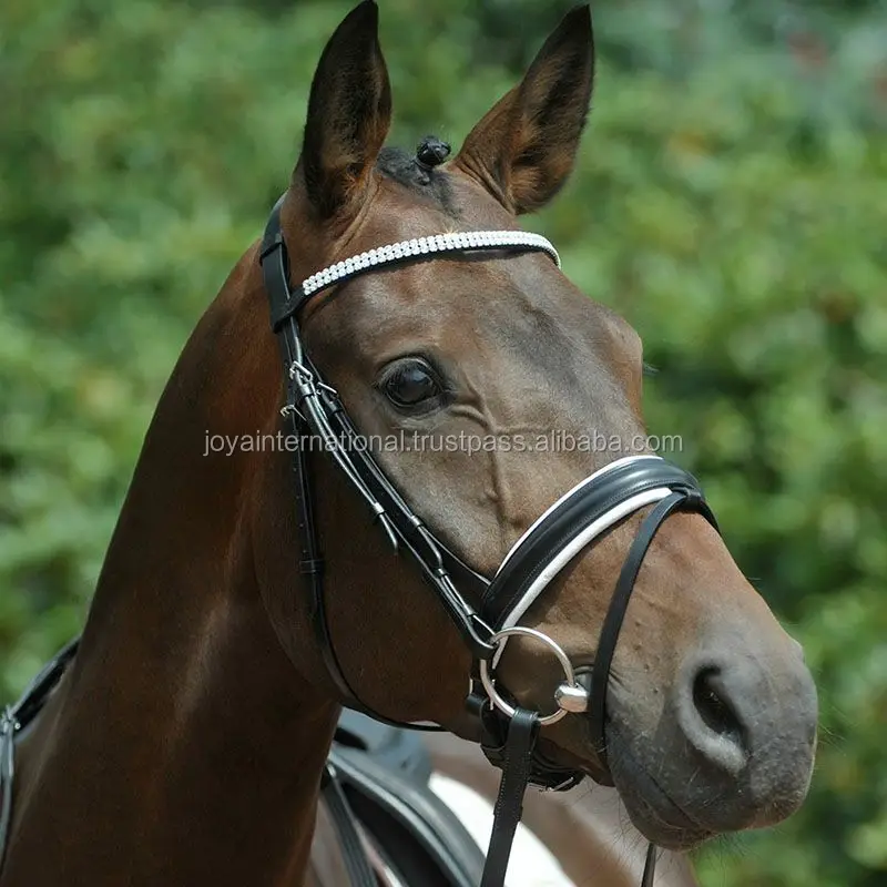 Horse Racing Bridle Equestrian,Horse Racing Bridle Equestrian With