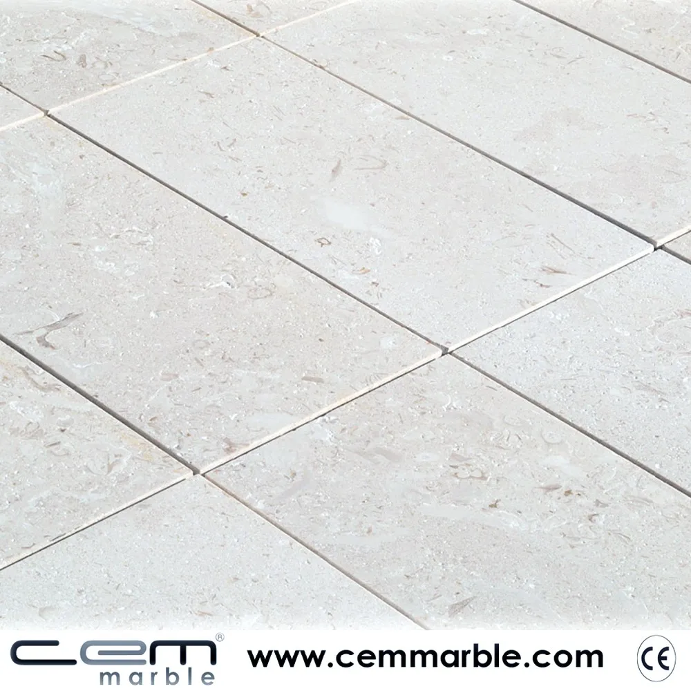 New Fashion Product Best Quality For Your Home And Constructions Fossil